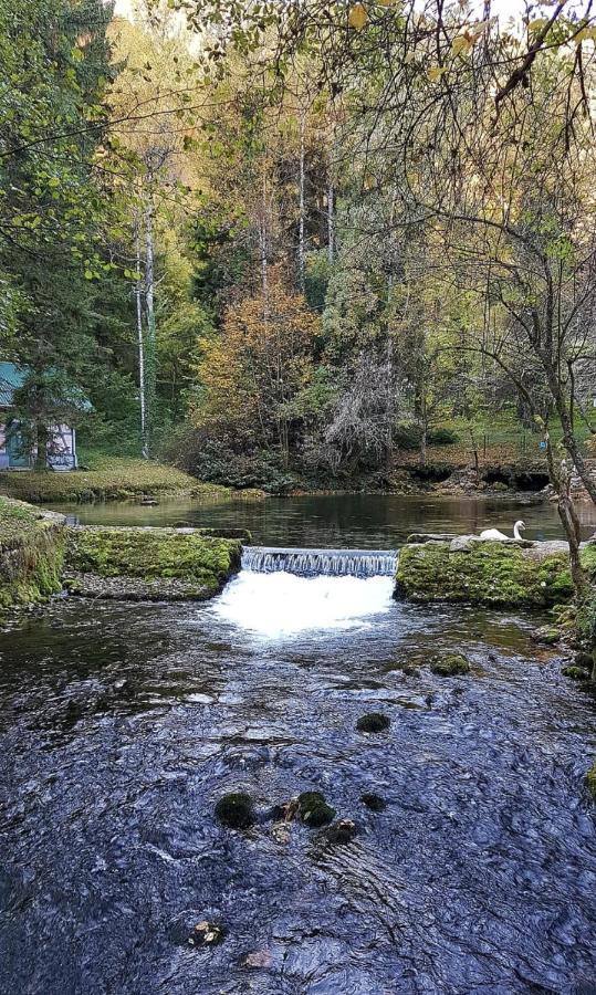 Villa Vrelo Bosne Sarajevo Luaran gambar