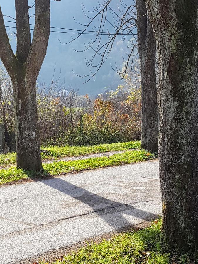 Villa Vrelo Bosne Sarajevo Luaran gambar