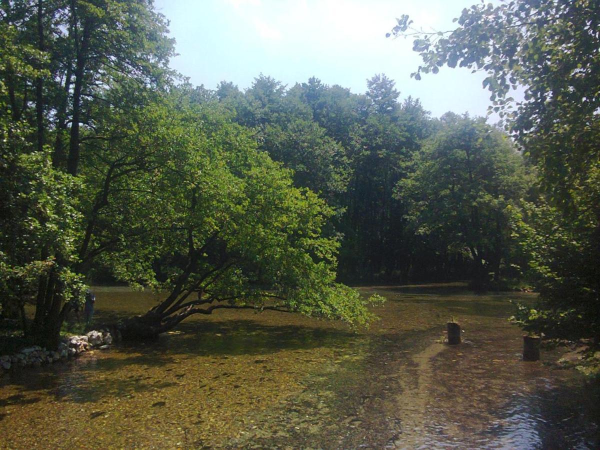 Villa Vrelo Bosne Sarajevo Luaran gambar