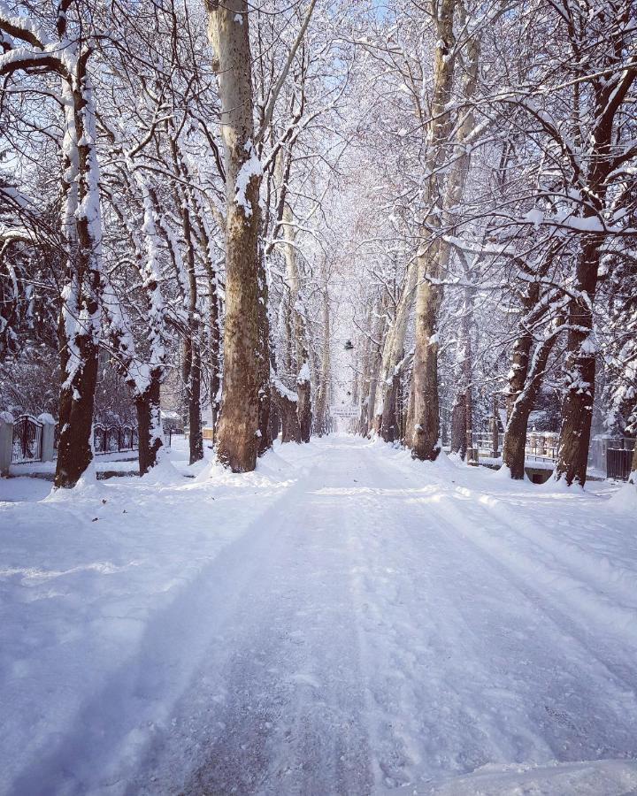 Villa Vrelo Bosne Sarajevo Luaran gambar